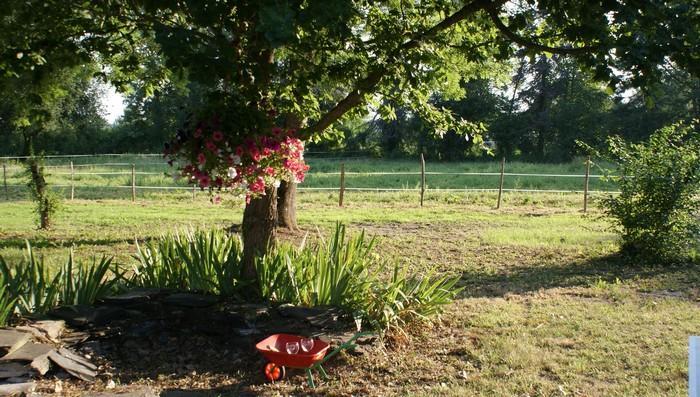 Les Longchamps Bed and Breakfast Neuillé Exterior foto